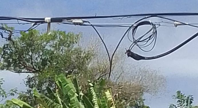Calle Páez de La Toscana sin servicio de Cantv desde hace 6 meses