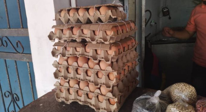 Cartón de huevos ronda entre los 21 y 23 bolívares en Maturín