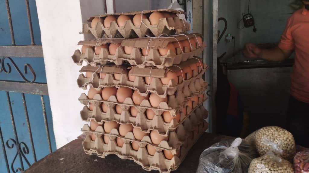 carton de huevos ronda entre los 21 y 23 bolivares laverdaddemonagas.com whatsapp image 2022 03 22 at 12.22.01 pm