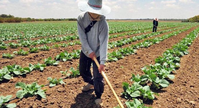 Fedeagro prevé incremento en los alimentos importados por la guerra en Ucrania