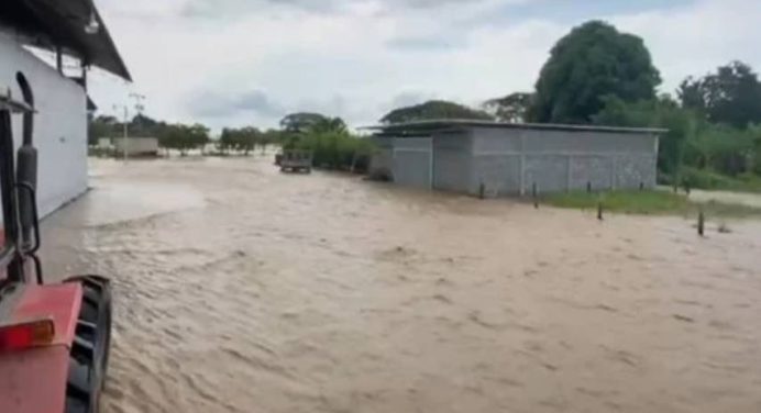 Zulia: Advierten severo impacto en sector agrícola por lluvias