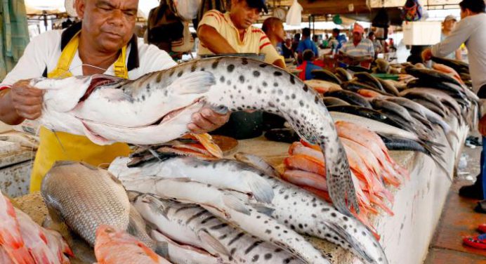 Ante la llegada de Semana Santa Sundde establece los precios del pescado