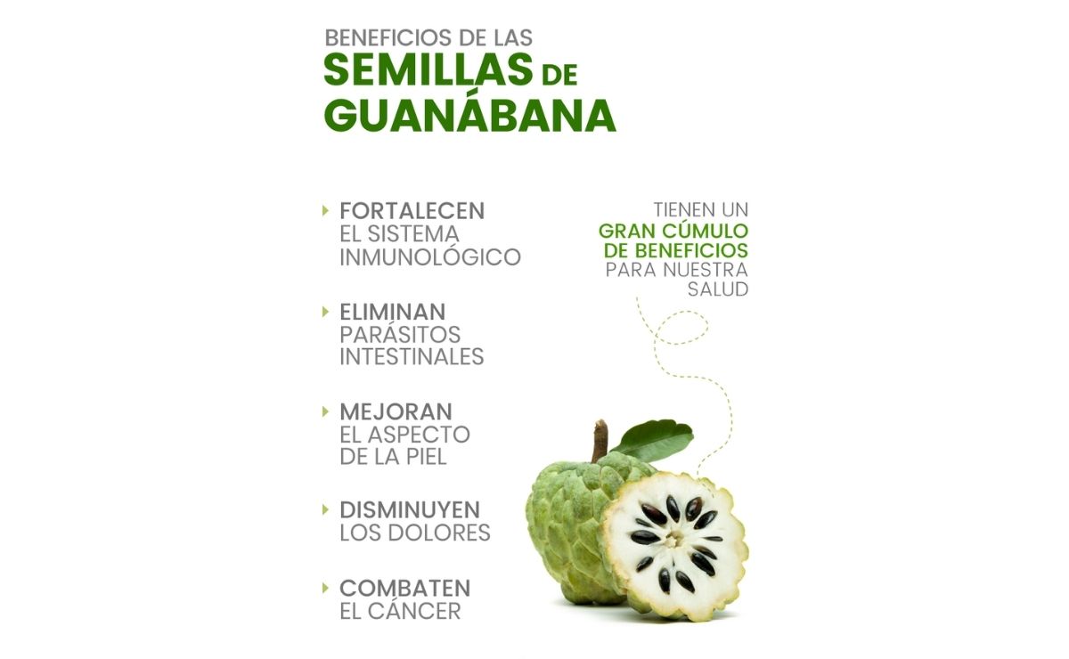 Beneficios de consumir guanábana