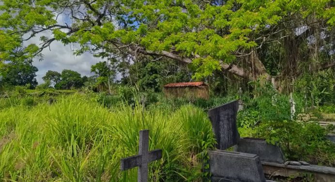 Cementerio viejo de Maturín está sumido entre la maleza y el abandono