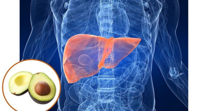 ¿Cómo puedes cuidar el hígado? Conoce 5 alimentos que te ayudarán con su salud
