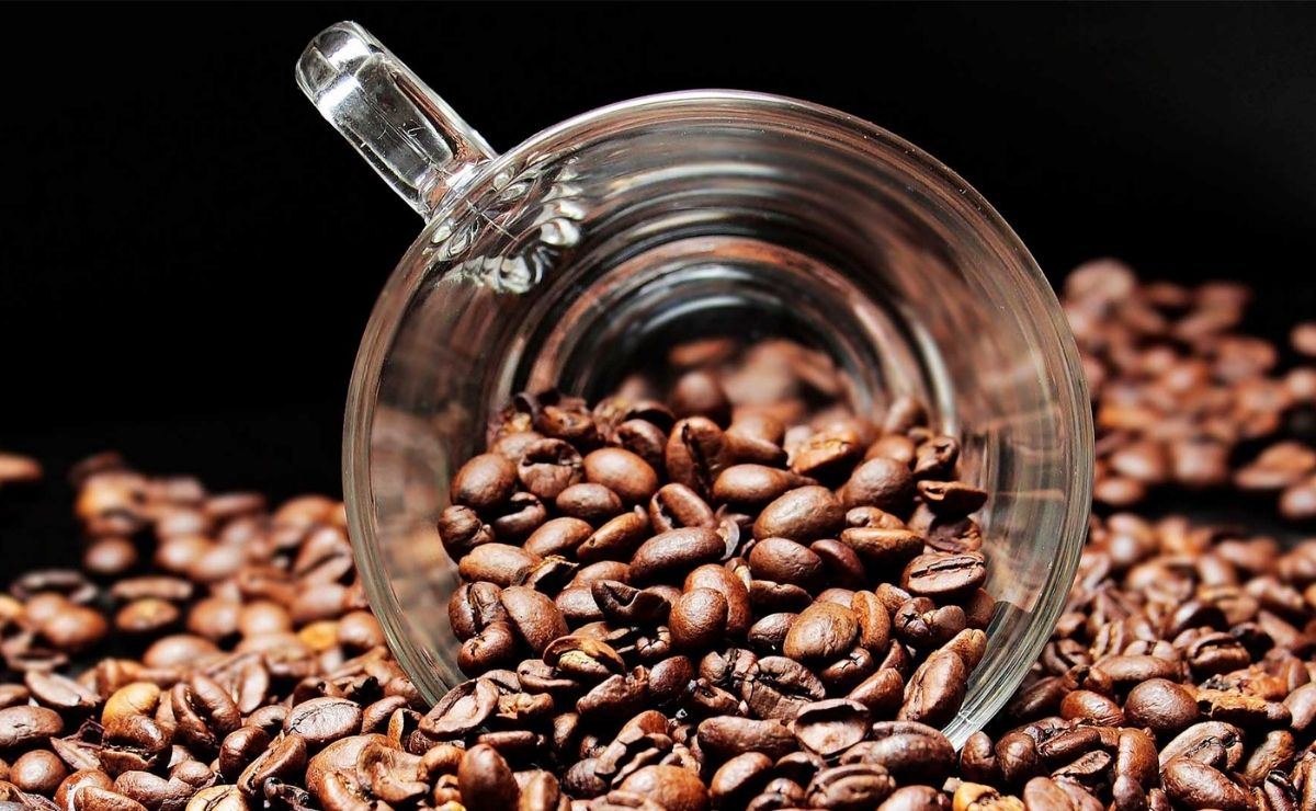 El café es perfecto para la salud del hígado