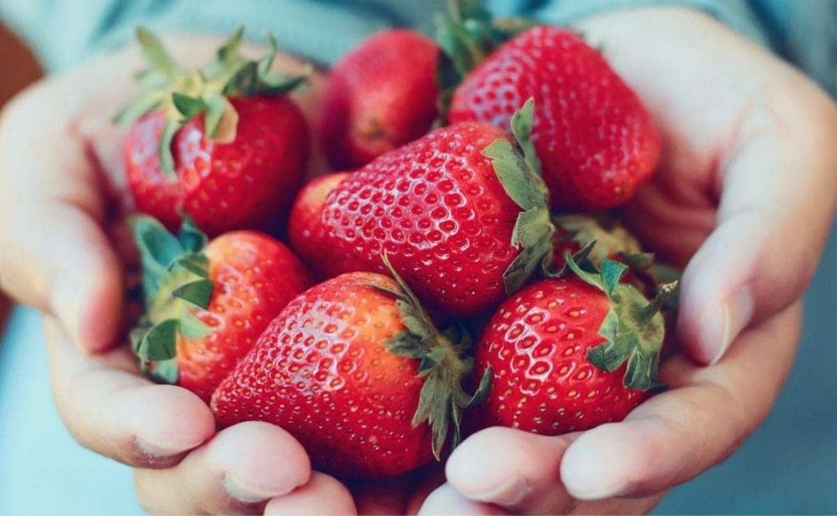 Las fresas la pueden comer las personas con diabetes