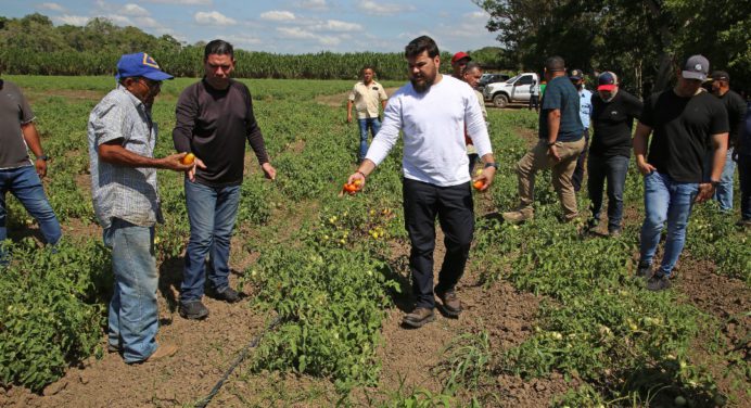 Gobernador Ernesto Luna inspeccionó la Tomatera de Caicara