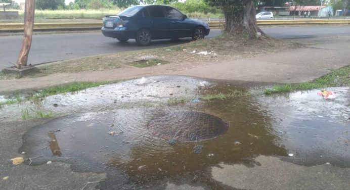 Bote de agua afecta al sector Las Brisas por más de 5 años