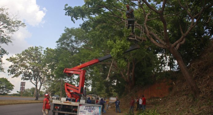 Plan de embellecimiento se mantiene en Maturín