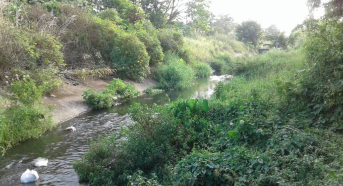 Vecinos de La Muralla y La Murallita claman por limpieza de caño
