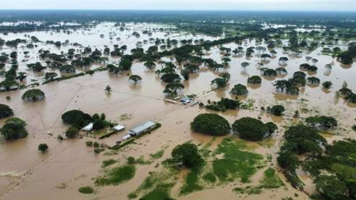 zulia advierten impacto en sector agricola por lluvias laverdaddemonagas.com zulia lluvias2