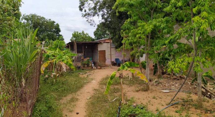 ¡En Maturín! Detenidos dueños de la vivienda donde murieron dos niños tras explotar una granada