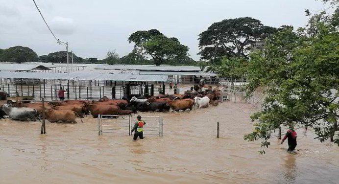 Fedenaga alerta posible paro técnico por la falta de combustible y fuertes lluvias