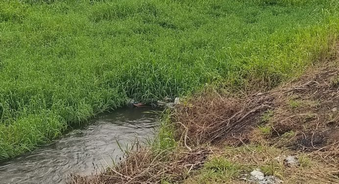 Habitantes del sector La Puente exigen saneamiento del caño