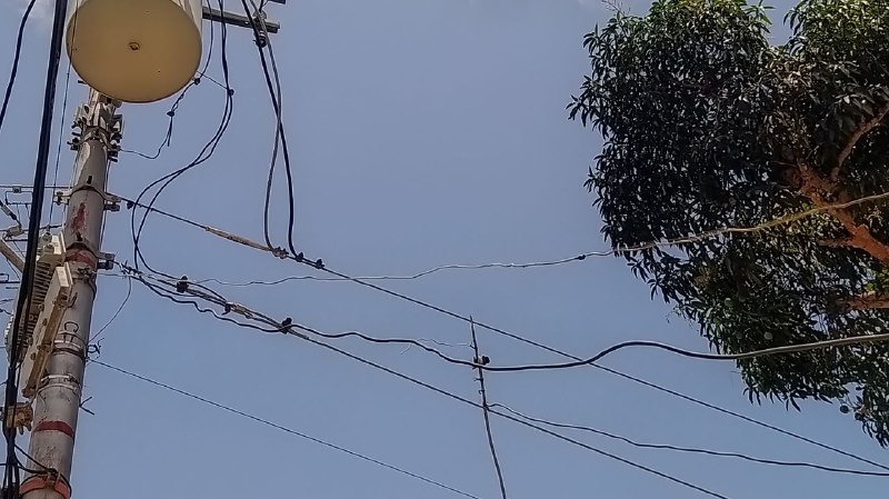 silencio de campo alegre tienen 2 semanas sin luz laverdaddemonagas.com 2483fad4 6fb9 4437 b81c a07f2ca37d96