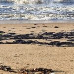 una vez mas denuncian derrame de petroleo en playas de anzoategui laverdaddemonagas.com derrame penalver anzo 2 696x381 1