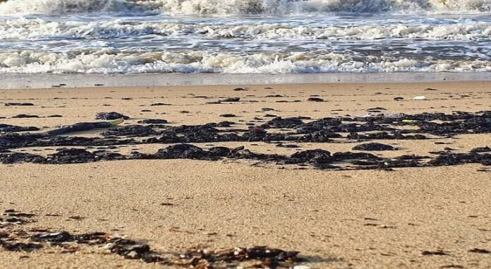 Una vez más denuncian derrame de petróleo en playas de Anzoátegui