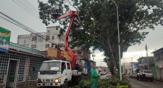 Alcaldía de Maturín aplica pica y poda de árboles ante alerta de ciclón tropical