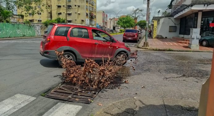 Alto riesgo genera alcantarilla dañada en la Avenida Luis del Valle García