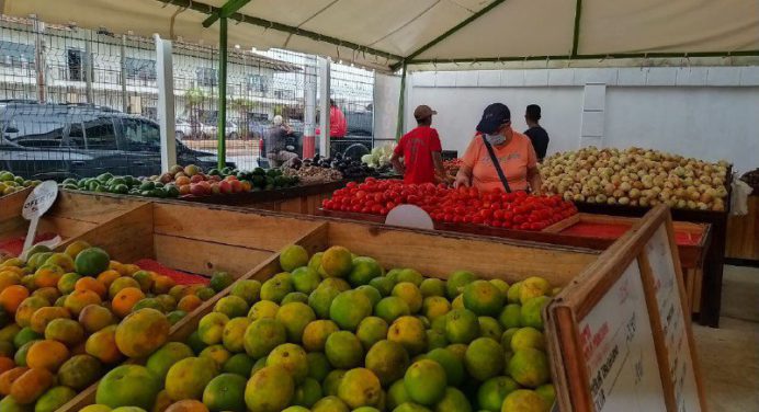 En riesgo transporte de alimentos por dolarización del diésel