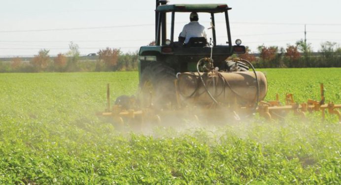 Fedeagro: “Estamos sembrando prácticamente la tercera parte de nuestra capacidad instalada”