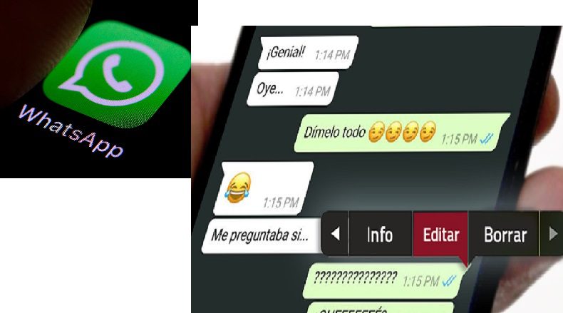  WhatsApp