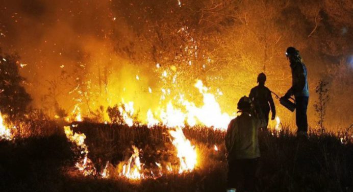 Casi 60 mil hectáreas arrasadas por los incendios forestales en España