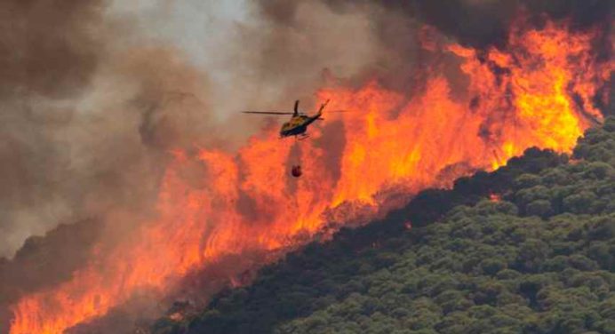 El fuego arrasa miles de hectáreas con calor extremo en España