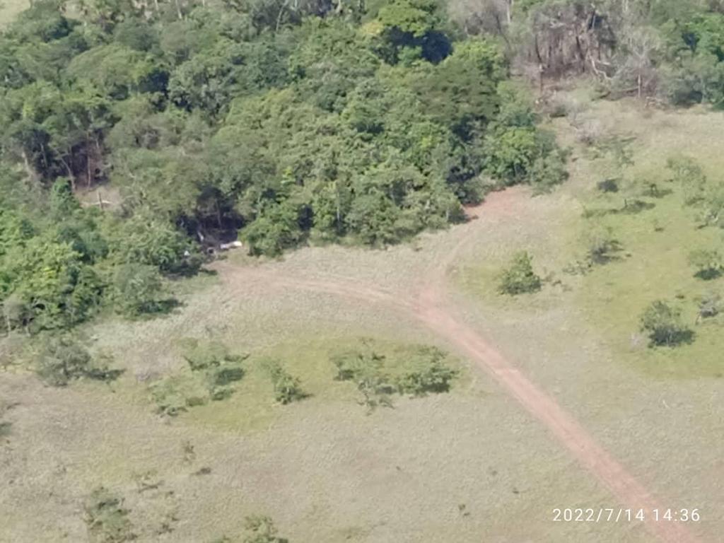 Fanb durante este año ha inutilizado19 aviones por ingreso ilegal en territorio venezolano