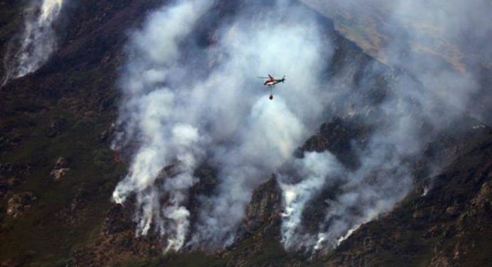 Incendios forestales queman en España 100 mil hectáreas
