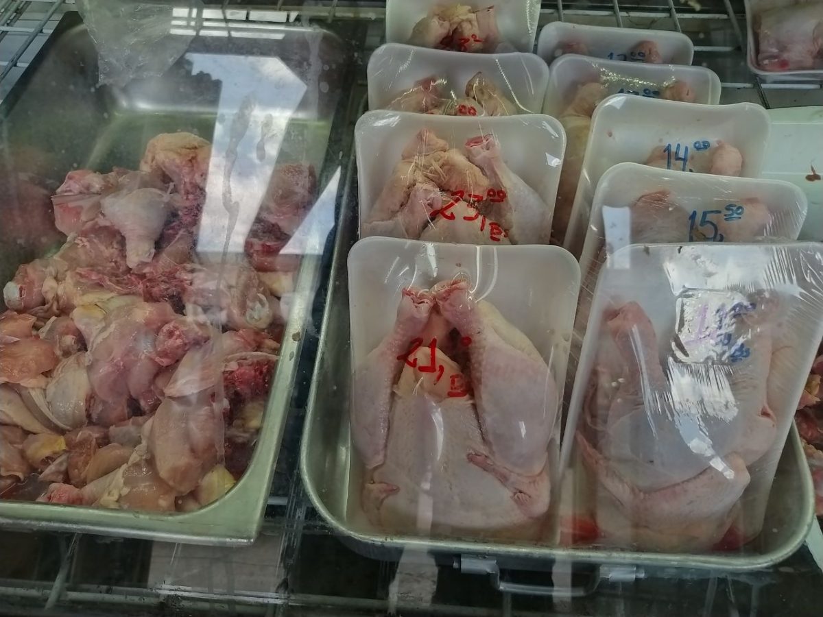 maturineses optan comprar pollo por bajos costo del rubro laverdaddemonagas.com 37075d95 a415 4e17 b6a7 a722a211a5cd