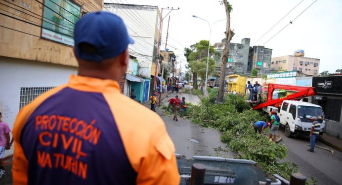 Alcaldía de Maturín ejecuta Plan Pica y Poda en la avenida Miranda