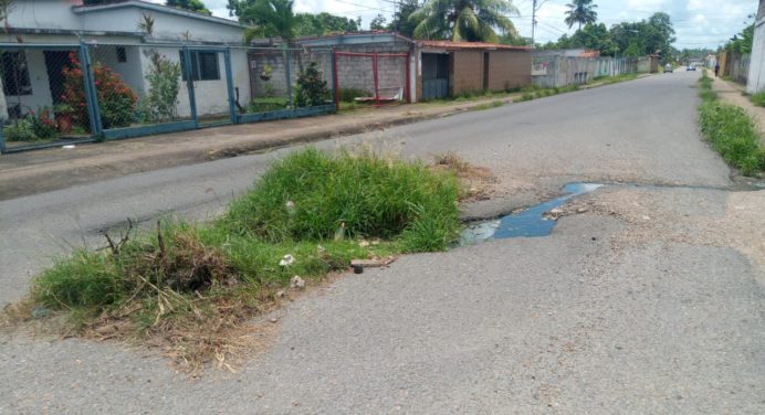 El Silencio clama por mejoras comunitarias en Maturín