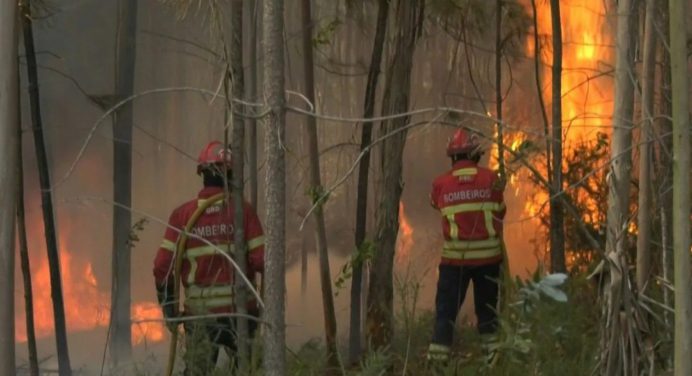 ¡Impresionante! Incendios en Francia arrasan con miles de hectáreas