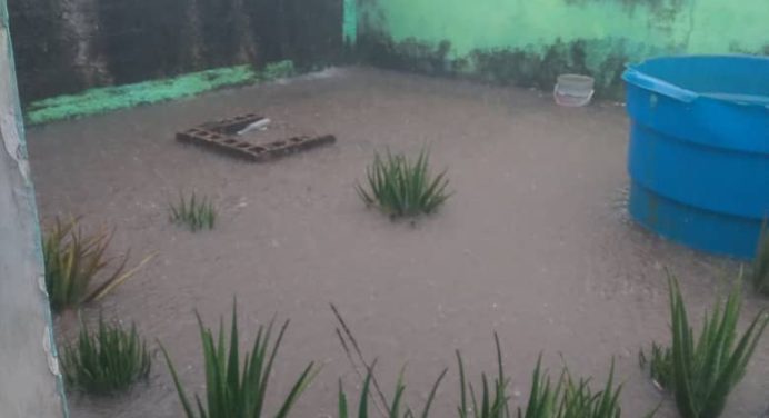 Más de 280 personas afectadas por intensas lluvias del domingo