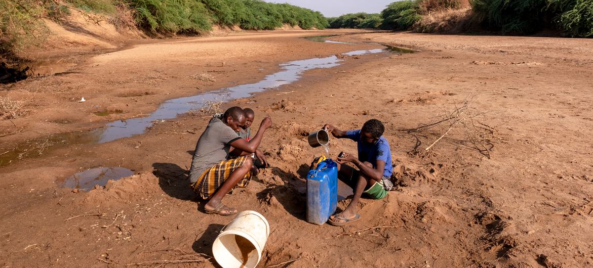 Unicef alerta el riesgo para millones de niños por sequía en África