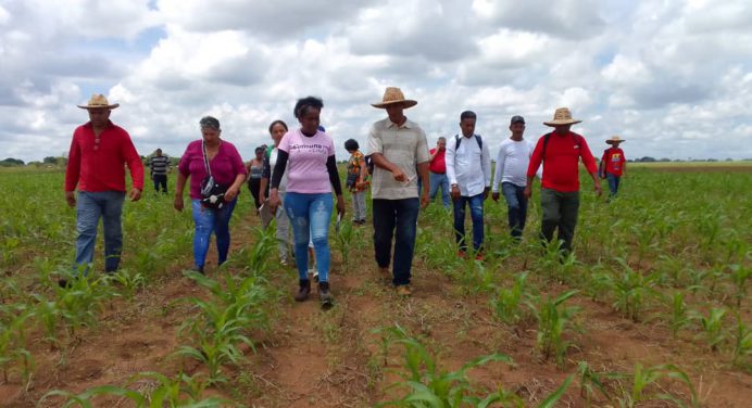 Comuna Espada de Bolívar avanza en el «Plan de Siembra 2022»