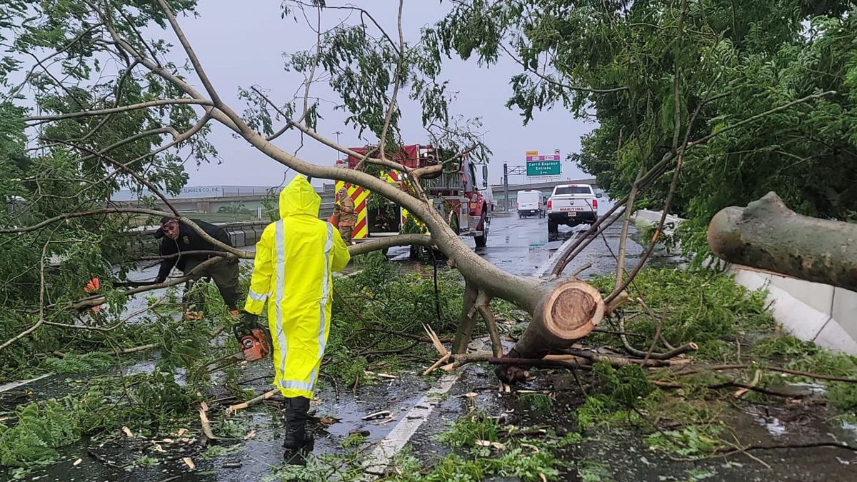 Biden
Puerto Rico