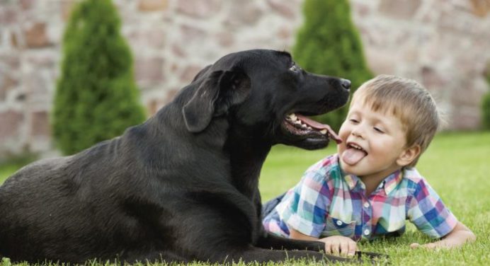 Las 10 mejores razas de perros recomendadas para niños