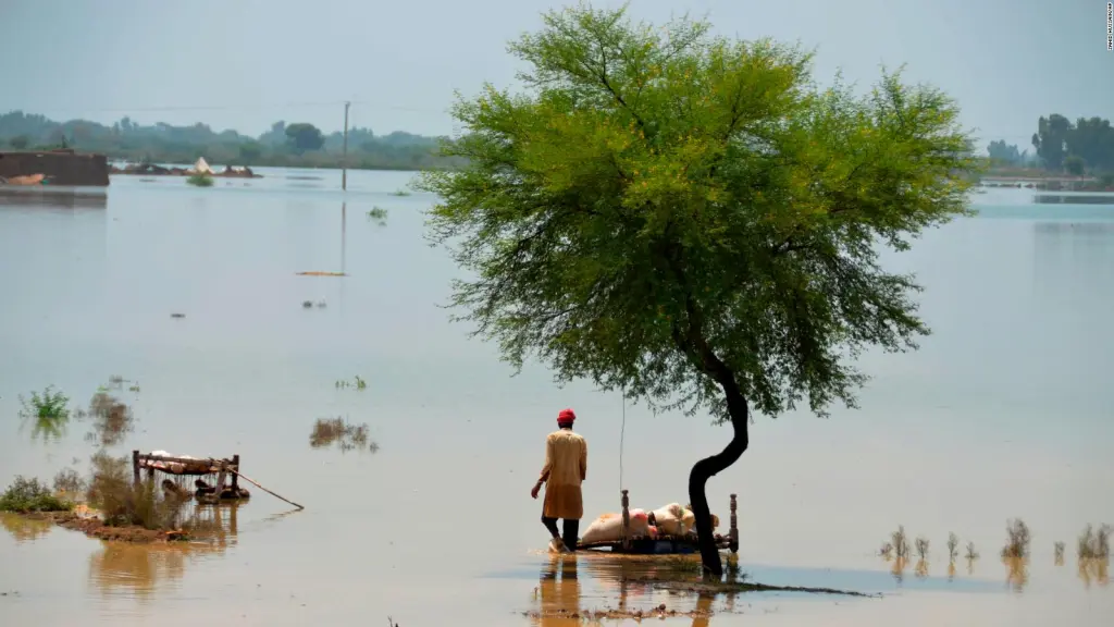 malaria dengue y otras enfermedades en pakistan a causa de las historicas inundaciones laverdaddemonagas.com lluvias en pakistan 1