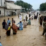 malaria dengue y otras enfermedades en pakistan a causa de las historicas inundaciones laverdaddemonagas.com lluvias en pakistan 3