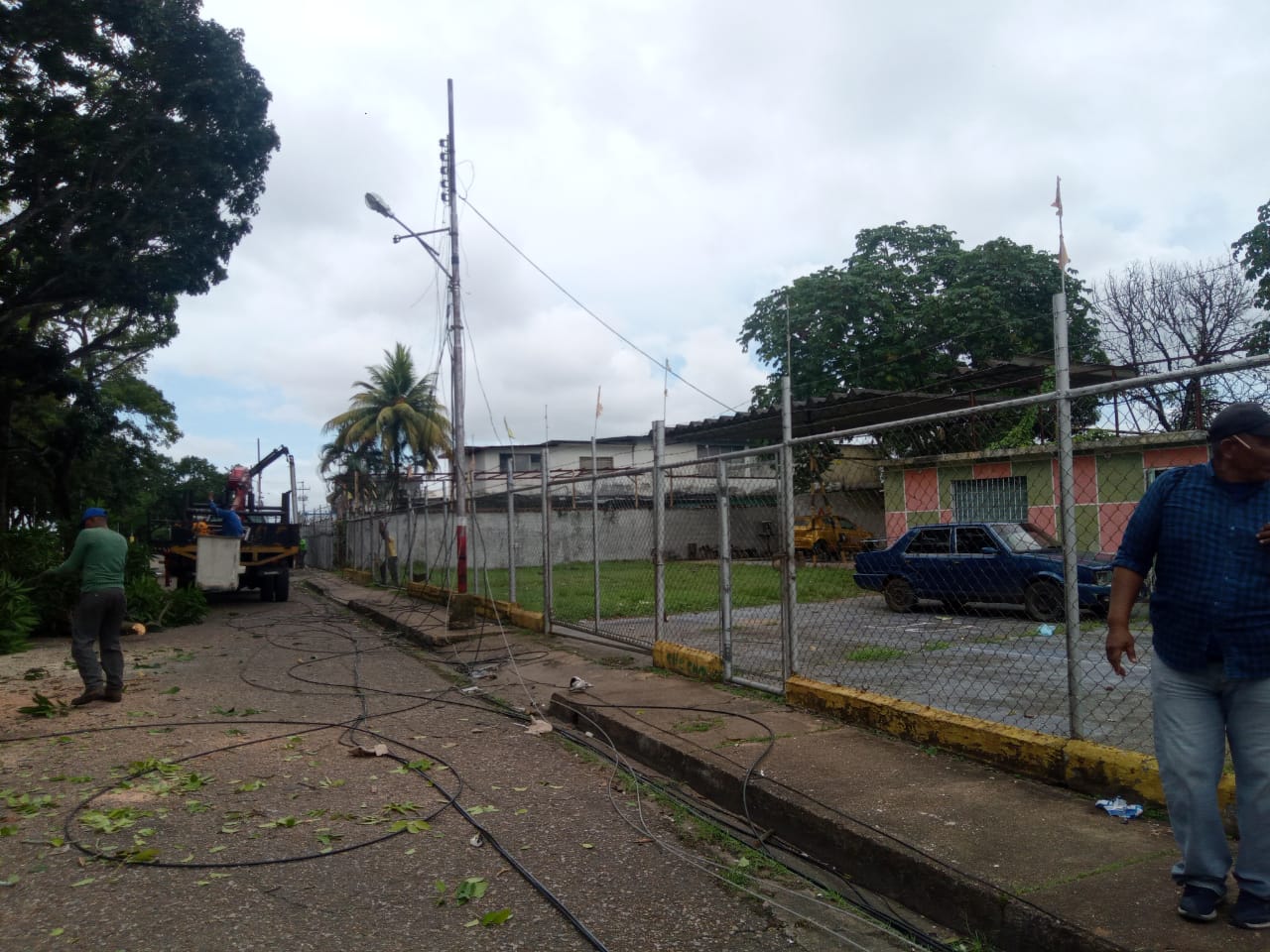 Más de 70% avanzan labores de pica y poda en avenida Libertador