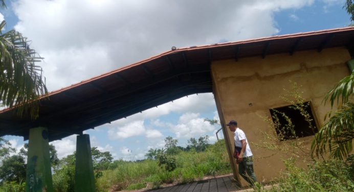 Parque del Este quedó entre el monte y el olvido