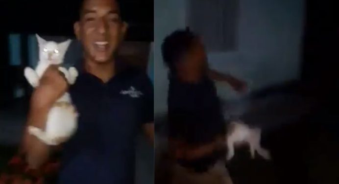 Por matar a un gato y grabar el hecho serán imputados dos sujetos