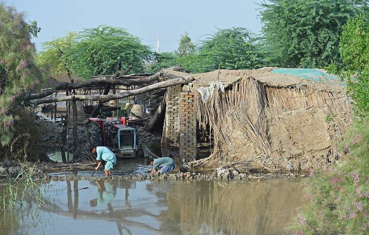 Pakistán eleva a 1.200 las muertes por lluvias monzónicas