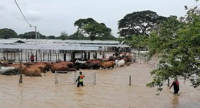 Bajo el agua se encuentran 150 mil hectáreas al Sur del Lago de Maracaibo