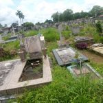 cementerio viejo recibira dia de difuntos lleno entre maleza y descuido laverdaddemonagas.com img 20221028 124932 078