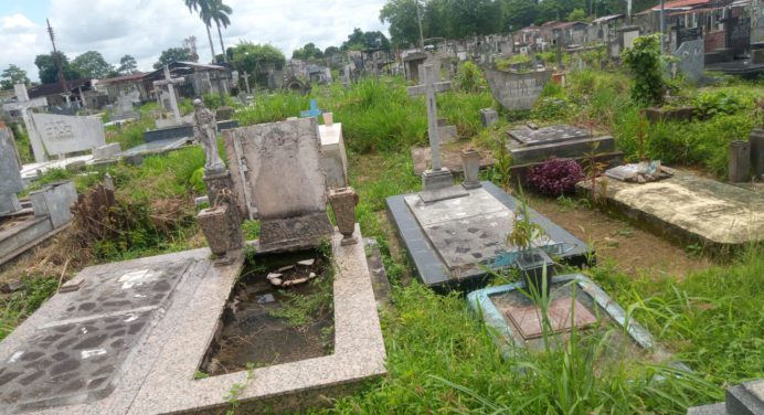 Cementerio viejo recibirá Día de Difuntos entre maleza y descuido