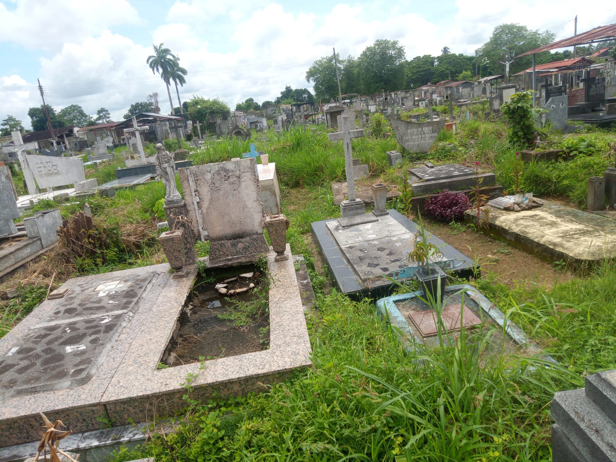 Cementerio viejo recibirá Día de Difuntos entre maleza y descuido